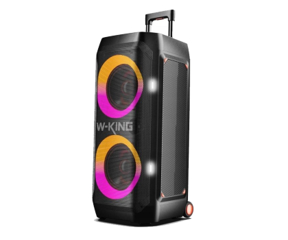 High Power Audio W-KING T12 Czarny